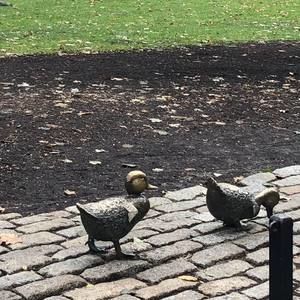 Meet your Posher, Jen